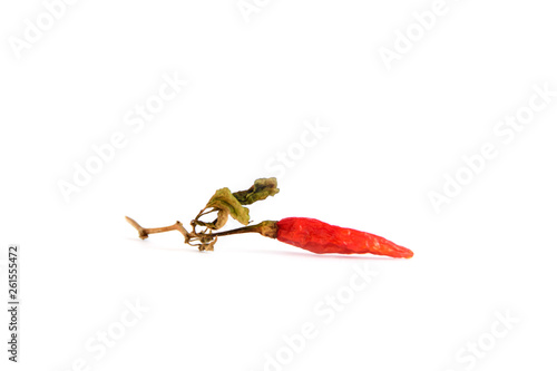 dried red chili pepper on white background