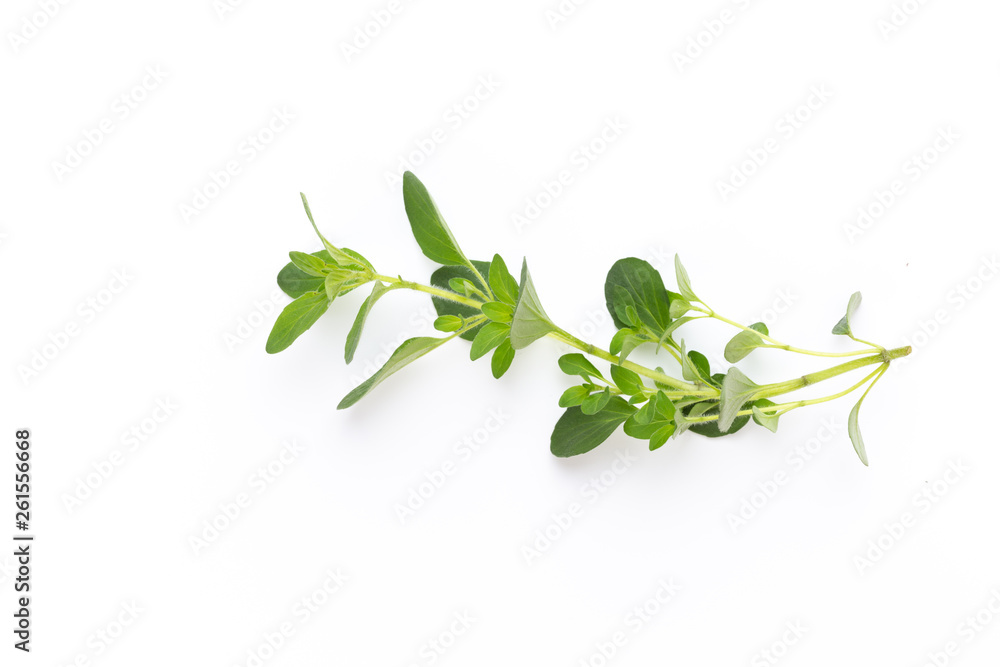 Herbal spice on a white background. Top view. Herbal spice on a white background. Top view.