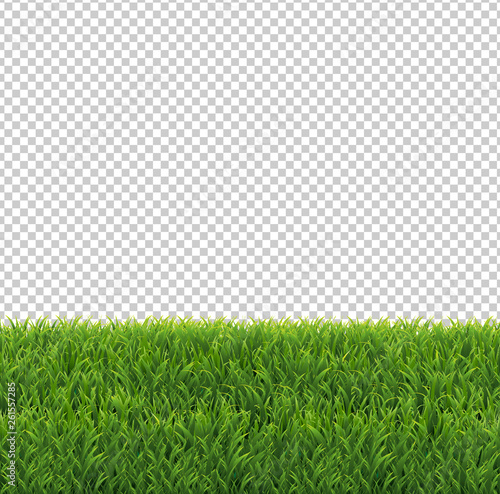 Green Grass Border Transparent Background
