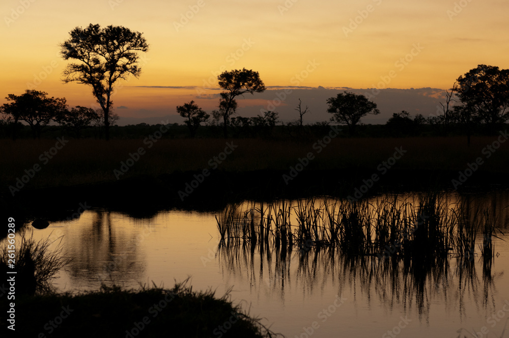 Fotografie Sunset in the veld
