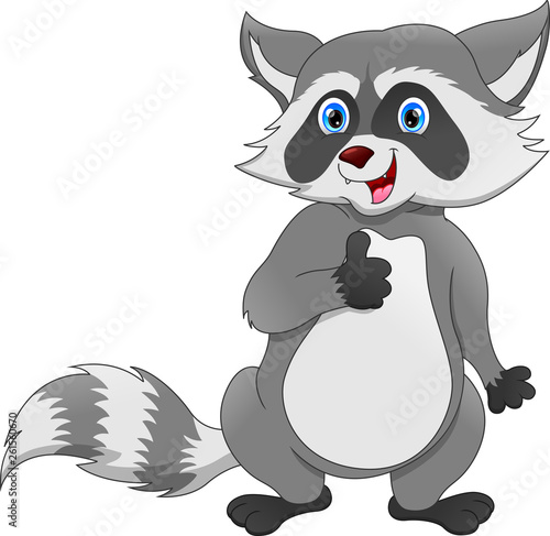 Raccoon cartoon thumb up