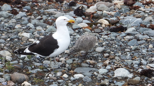 attenzione ai piccoli