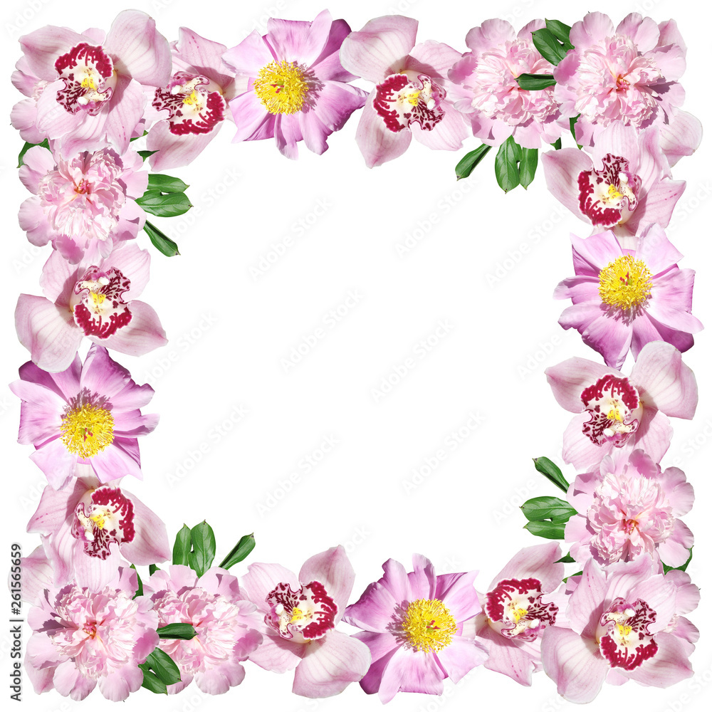 Beautiful floral background of peonies and orchids. Isolated