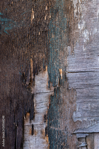 old destroyed plywood sheet closeup surface texture photo