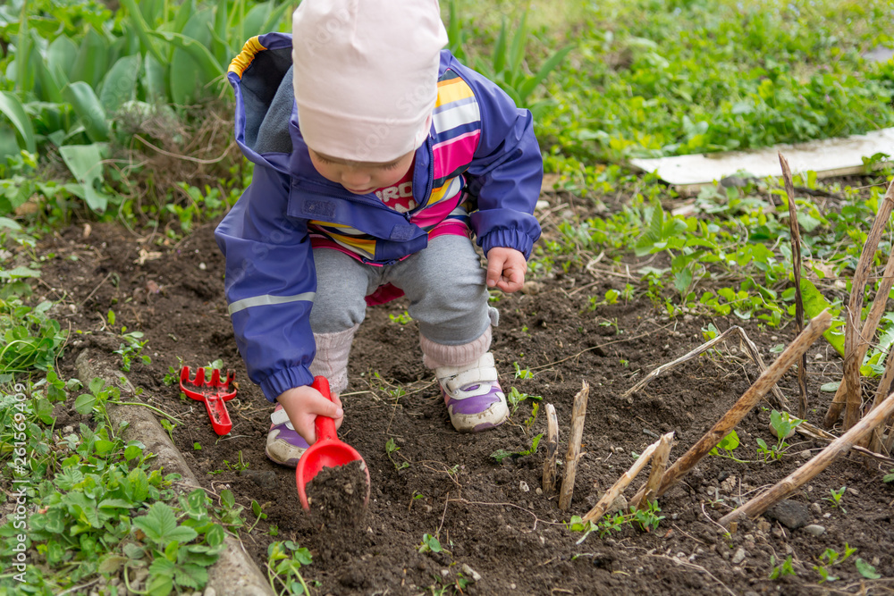 Fototapeta premium Small girl exploring the garden and helping with spring cleaning.