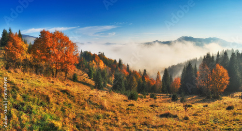 autumn sunrise in the Carpathian mountains. foggy morning. scenic dawn