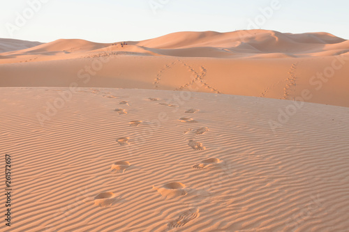 Morocco  Merzouga  Erg Chebbi Dunes at Sunrise