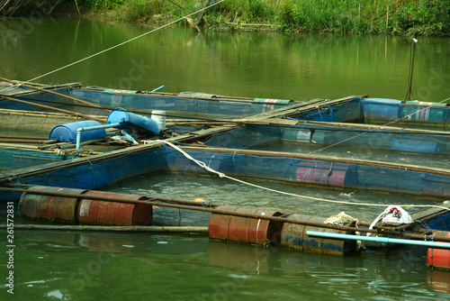Fischzucht in Thailand