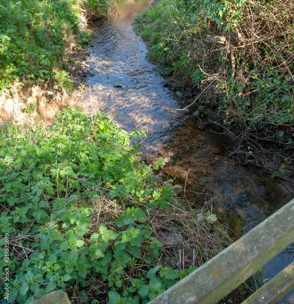 Obraz premium A brook on a sunny day