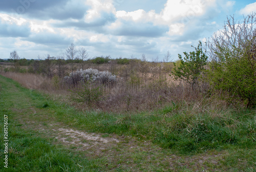 View at Fiskerton Fen in late spring © Geoff