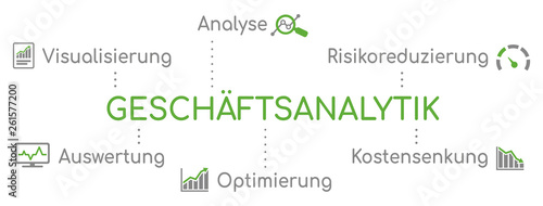 Geschäftsanalytik Infografik Grün