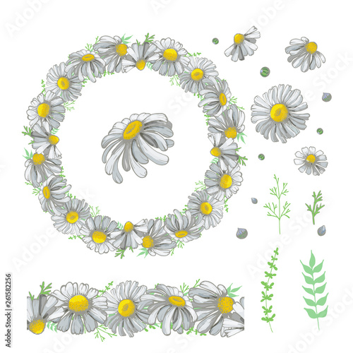 Wreath with  camomile flowers on a white background. Vector round frame with place for text.Endless horizontal brush. Set of elements.Hand drawn.