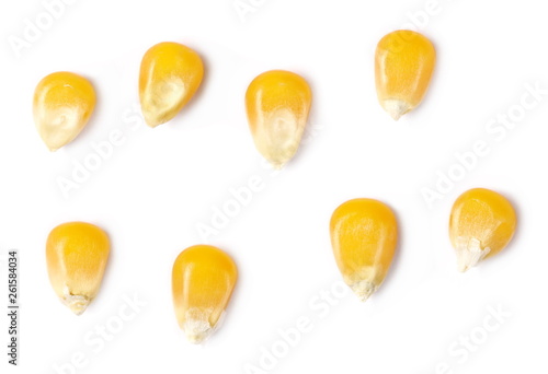 Set yellow grain corn isolated on white background, for popcorn, top view and macro 