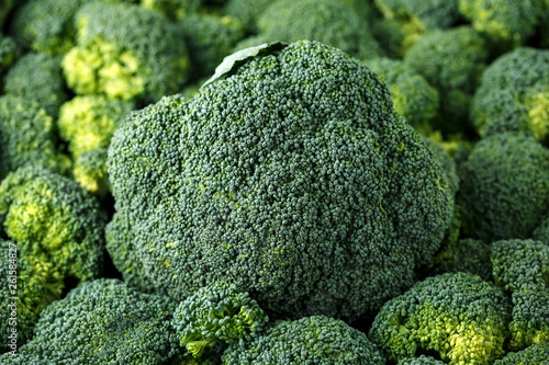 Healthy Fresh Green raw Broccoli. background  texture.