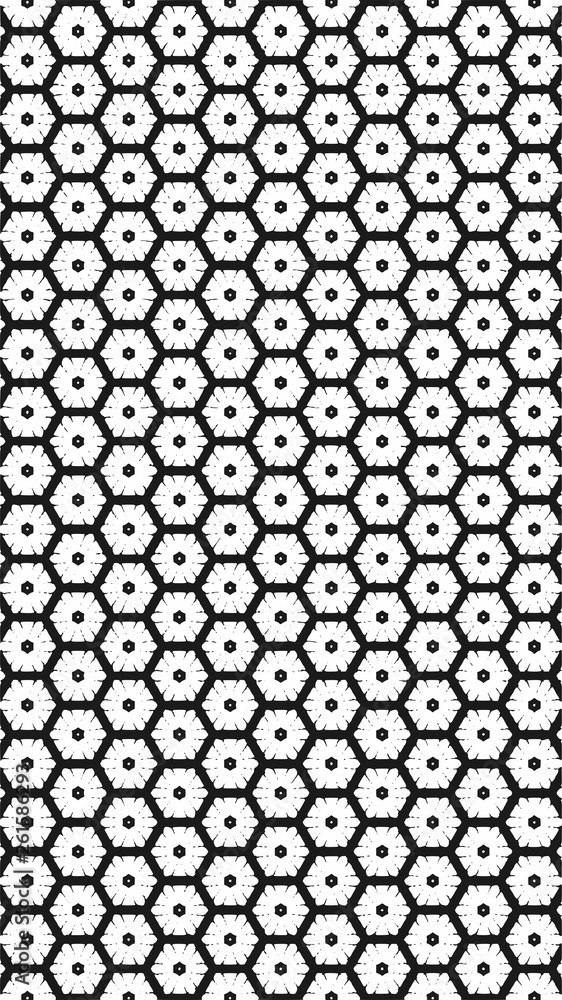 Black and white ornate geometric pattern and abstract background