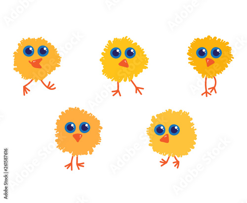 Five yellow little chicks 