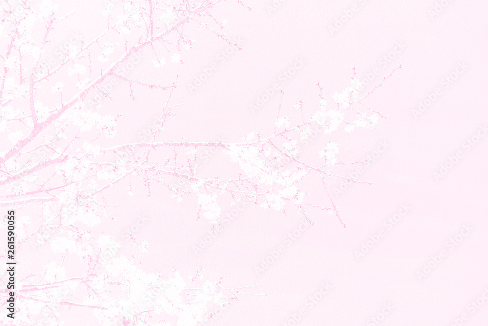 Romantic blossom sakura flower petals.Sakura branch in springtime with falling petals. Romantic blossom sakura flower petals.Sakura branch in springtime with falling petals.