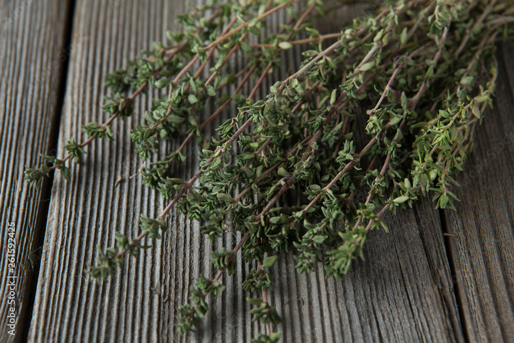 thyme - aromatic plant of the mint family are used as a culinary herb thyme - aromatic plant of the mint family are used as a culinary herb