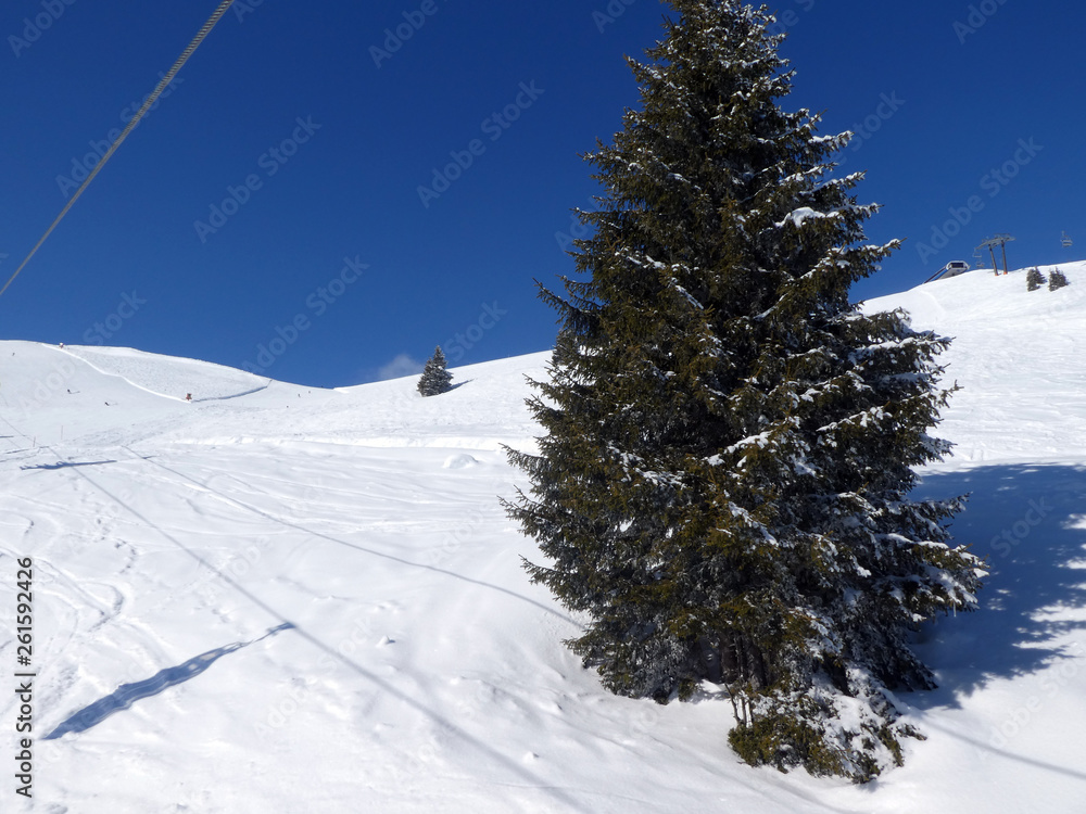 Skifahren in Saalbach Hinterglemm Leogang - obrazy, fototapety, plakaty 