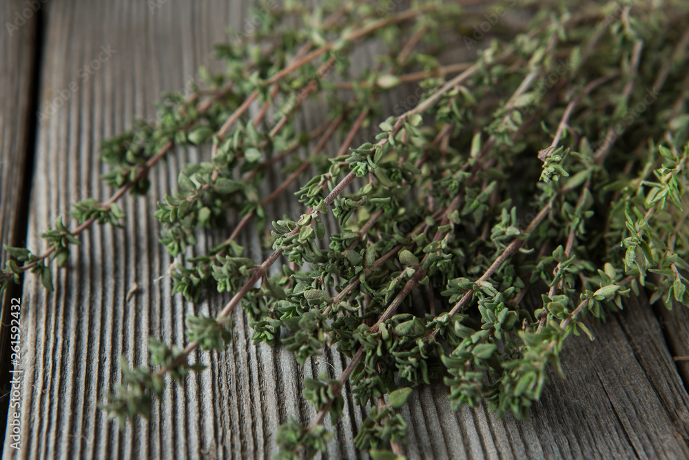 thyme - aromatic plant of the mint family are used as a culinary herb thyme - aromatic plant of the mint family are used as a culinary herb