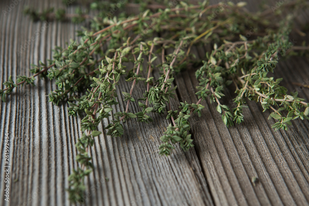 thyme - aromatic plant of the mint family are used as a culinary herb thyme - aromatic plant of the mint family are used as a culinary herb