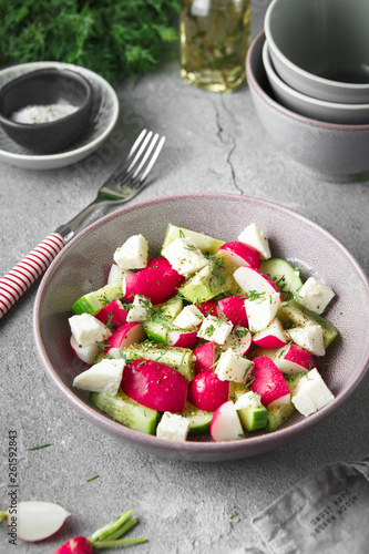 Radish, cucumber, kiwi, cheese and dill salad in a bowl on gray grunge concrete background. Seasonal Cooking, food styling.