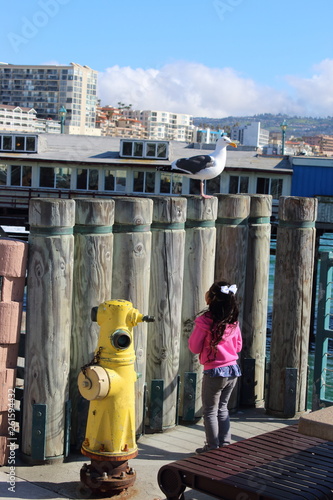A little girl in pink looking up at a seagull standing next to a fire hydrant.wooden pilings are strapped together with steel and the city in the background, vacation on the shore