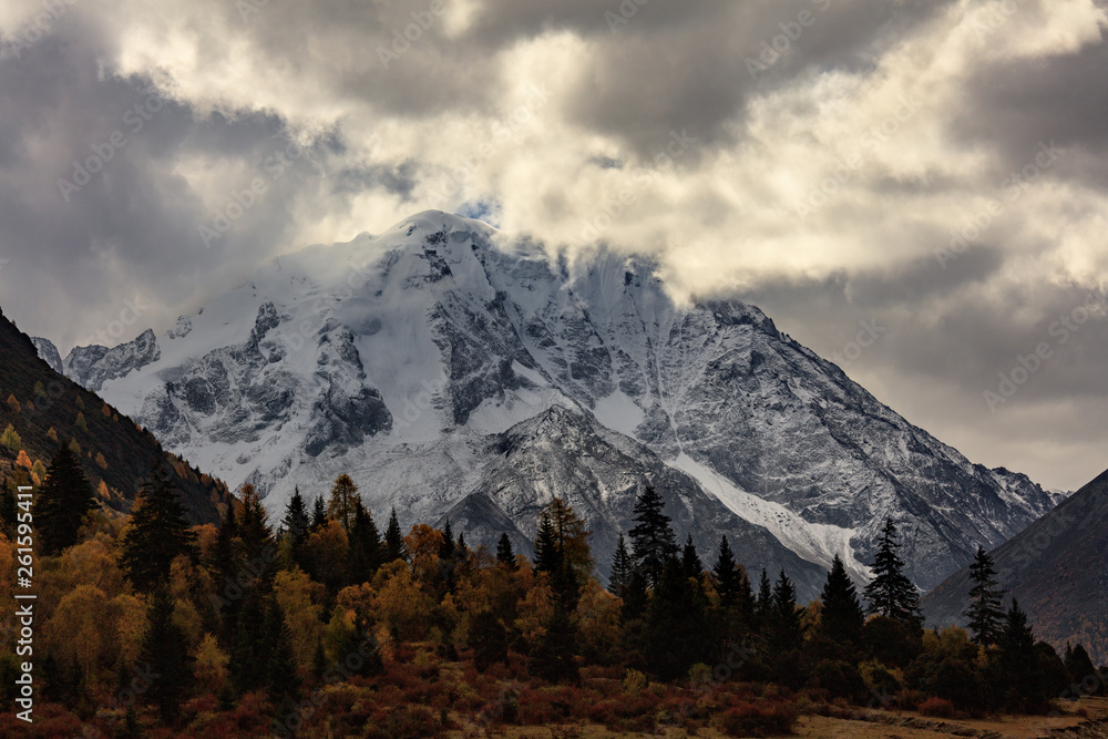Yala Snow Mountain towering in the distance. Tibet area of Sichuan Province China, Valley covered in golden trees, autumn fall colors. Ganzi Tibetan Plateau Chinese Landscape, Majestic Mountains Yala Snow Mountain towering in the distance. Tibet area of Sichuan Province China, Valley covered in golden trees, autumn fall colors. Ganzi Tibetan Plateau Chinese Landscape, Majestic Mountains