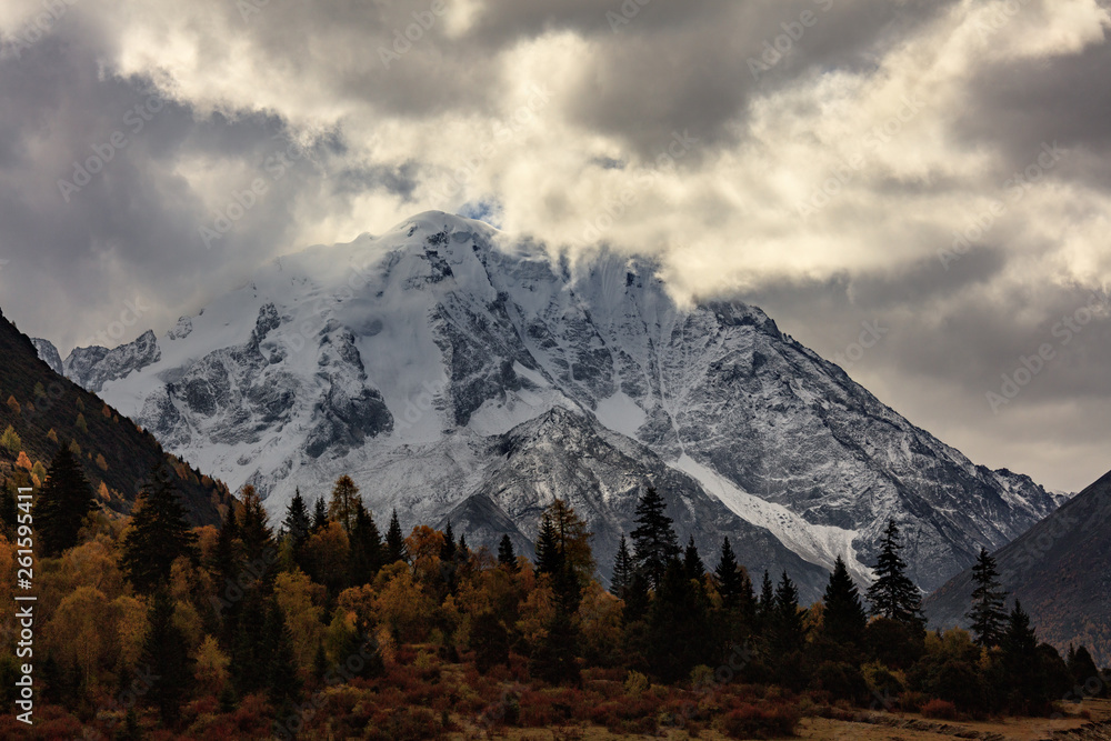 Yala Snow Mountain towering in the distance. Tibet area of Sichuan Province China, Valley covered in golden trees, autumn fall colors. Ganzi Tibetan Plateau Chinese Landscape, Majestic Mountains