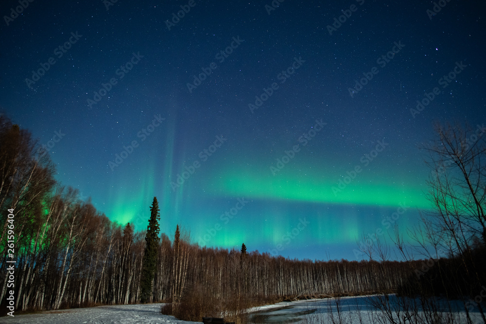 winter landscape with trees and aurora borealis 