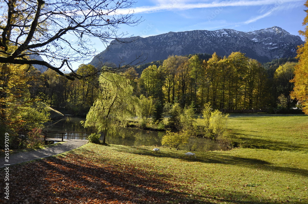 Forest landscape in Bavaria, Germany
