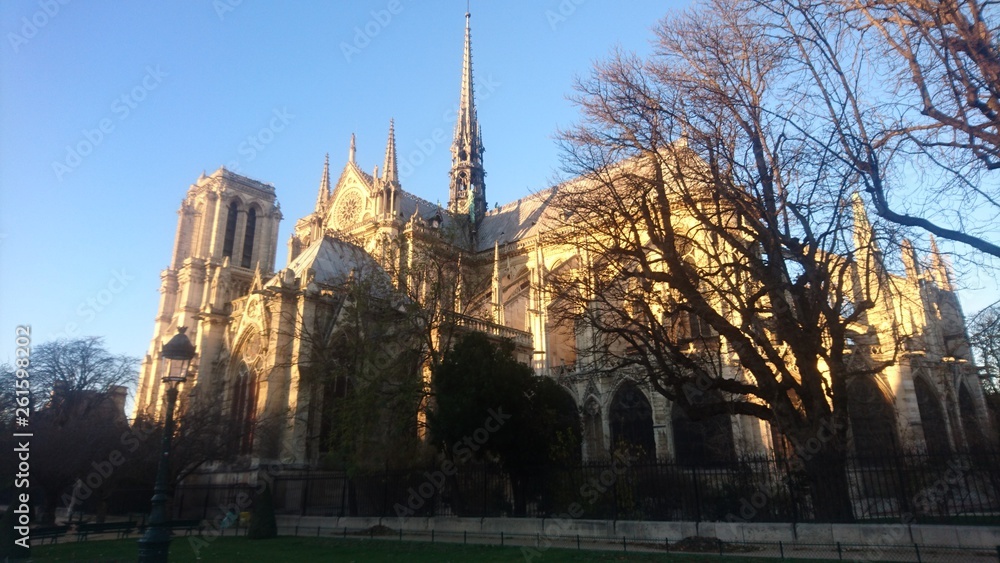 Fototapeta premium notre dame de paris
