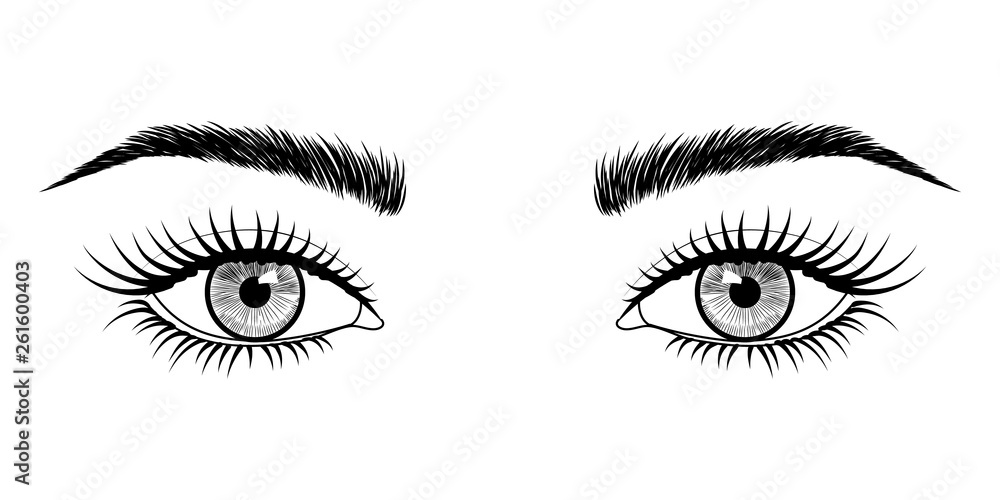 Vector black and white hand-drawn image of eyes with eyebrows and long eyelashes. Fashion illustration. EPS 10. Vector black and white hand-drawn image of eyes with eyebrows and long eyelashes. Fashion illustration. EPS 10.