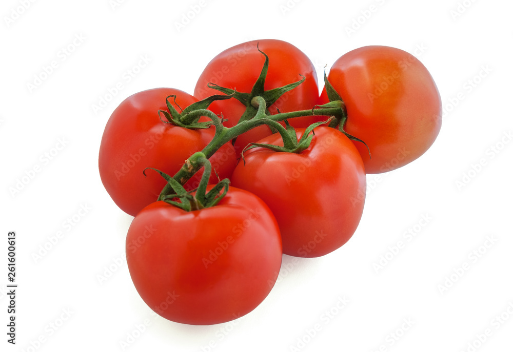 fresh organic soil tomatoes on branch isolated on white close up