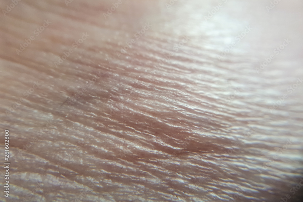 Fototapeta premium macro shot of human skin leg