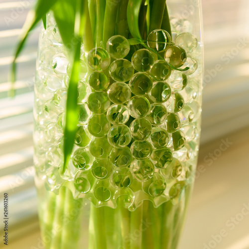 Tulips in a vase