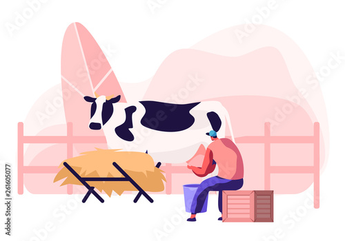 Young Milkmaid Woman in Uniform Sitting on Box and Milking Cow into Bucket