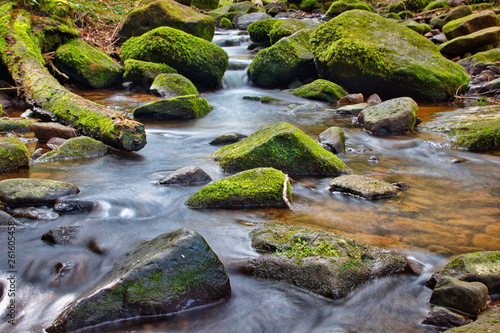 Stream in the woods (Monbachtal) photo