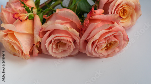 Beautiful bouquet of roses  close up  selected focus