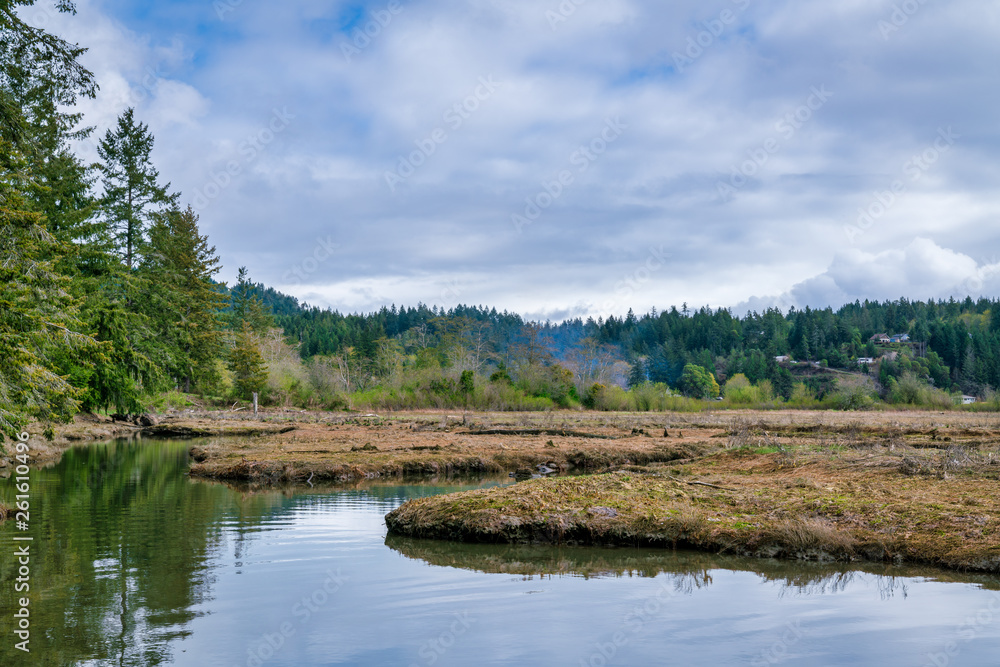 Beautiful Tidelands Puget Sound