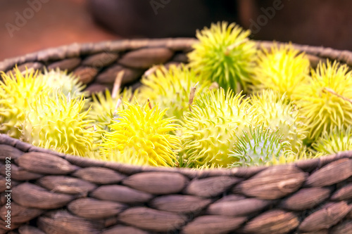 Spiny Gourd. Momordica dioica photo