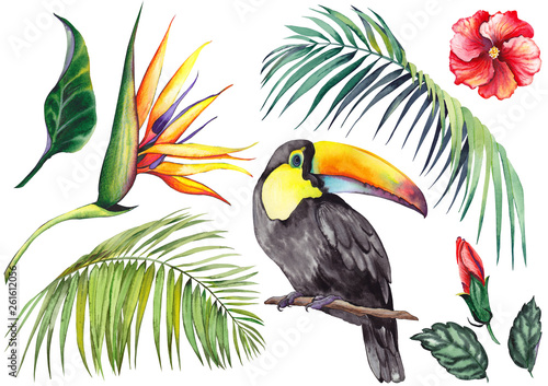 Tropical set with a toucan, palm leaves, strelitzia and hibiscus flowers. Watercolor on white background. Isolated elements for design.