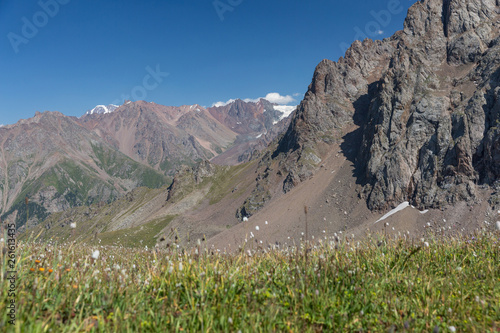 Green grass and high stone and snow capped mountains