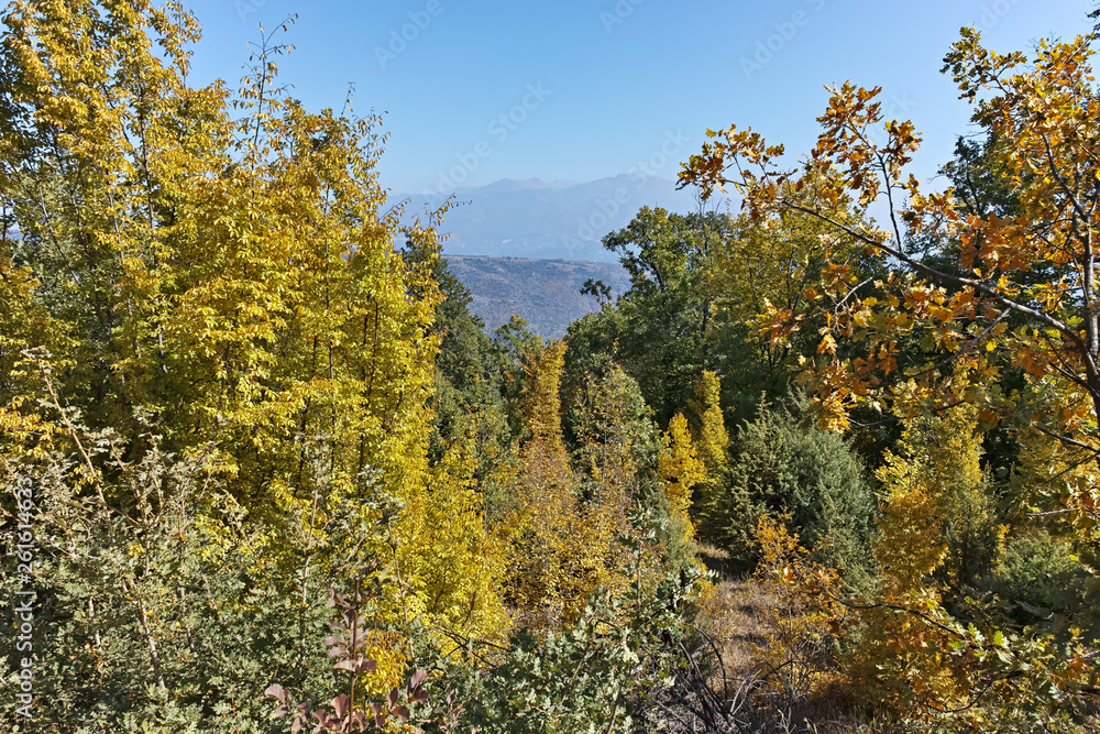 Amazing Autumn landscape of Ruen Mountain - northern part of Vlahina Mountain, Kyustendil Region, Bulgaria Amazing Autumn landscape of Ruen Mountain - northern part of Vlahina Mountain, Kyustendil Region, Bulgaria