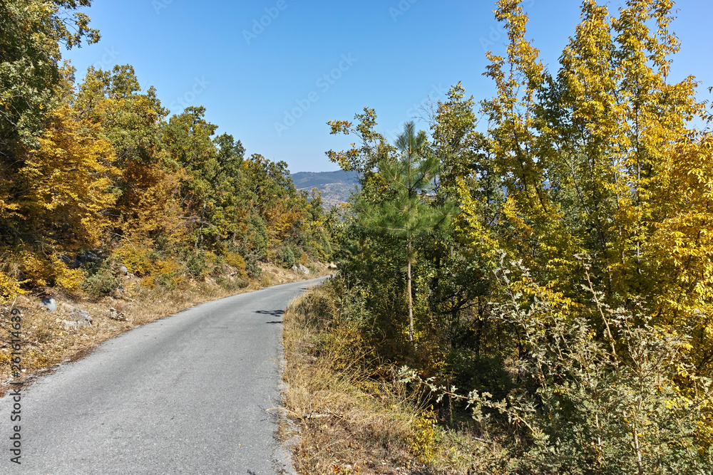 Obraz premium Amazing Autumn landscape of Ruen Mountain - northern part of Vlahina Mountain, Kyustendil Region, Bulgaria