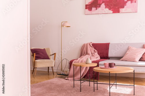 Lamp between armchair and sofa with pink and red blanket in flat interior with tables. Real photo