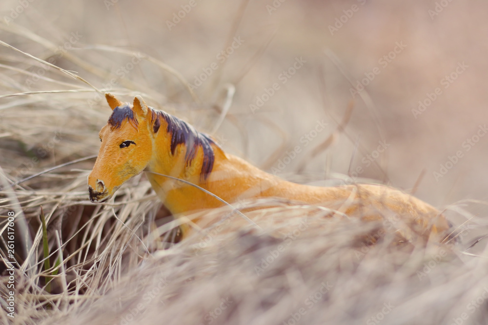 toy horse in nature photographed as real among the dry grass like haystacks toy horse in nature photographed as real among the dry grass like haystacks
