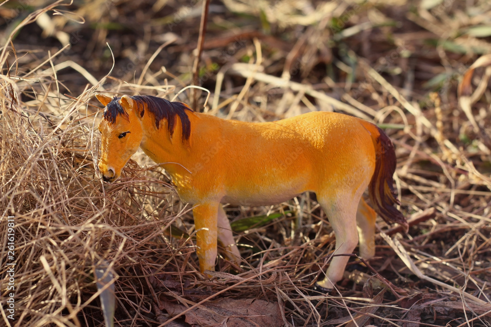 toy horse in nature photographed as real among dry grass like haystacks imitation horse feeding toy horse in nature photographed as real among dry grass like haystacks imitation horse feeding