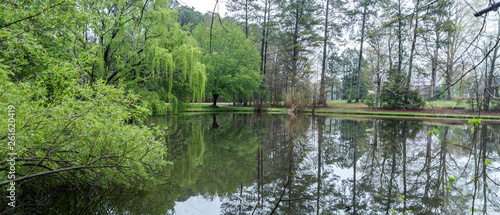 Lush green trees and reflection on pond