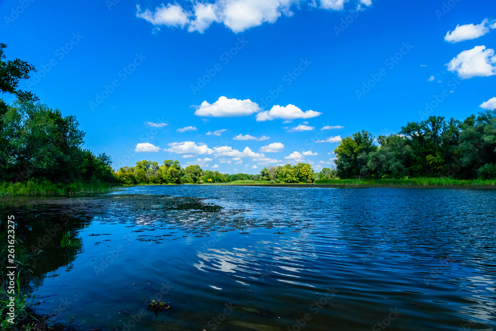 Summer landscape with the green trees and river Summer landscape with the green trees and river